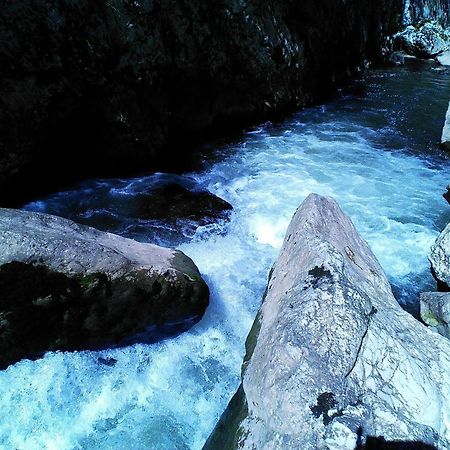 Odmaraliste Vlasko Zdrelo Pirot Quarto foto
