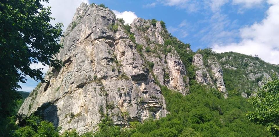 Odmaraliste Vlasko Zdrelo Pirot Exterior foto